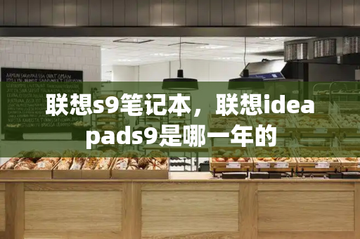 联想s9笔记本，联想ideapads9是哪一年的-第1张图片-星选测评