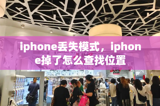 iphone丢失模式，iphone掉了怎么查找位置-第1张图片-星选测评