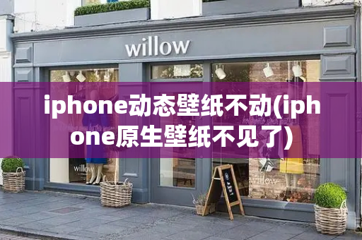 iphone动态壁纸不动(iphone原生壁纸不见了)