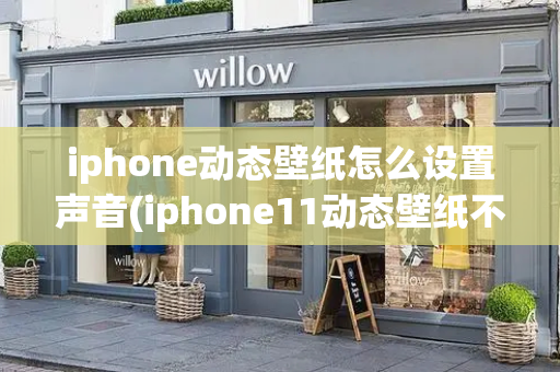 iphone动态壁纸怎么设置声音(iphone11动态壁纸不动)