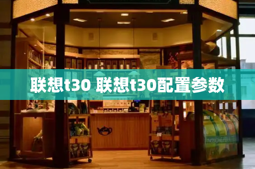 联想t30 联想t30配置参数-第1张图片-星选测评