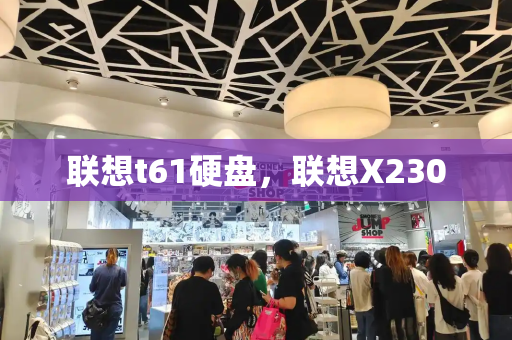 联想t61硬盘，联想X230