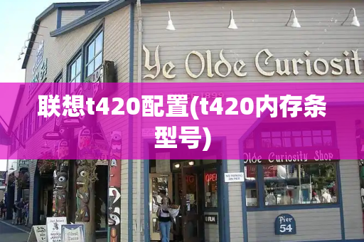 联想t420配置(t420内存条型号)-第1张图片-星选测评