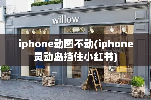 iphone动图不动(iphone灵动岛挡住小红书)