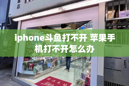 iphone斗鱼打不开 苹果手机打不开怎么办