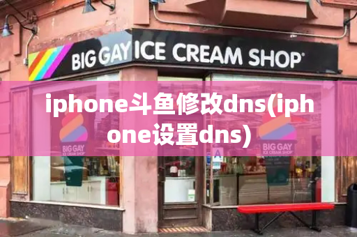 iphone斗鱼修改dns(iphone设置dns)-第1张图片-星选测评