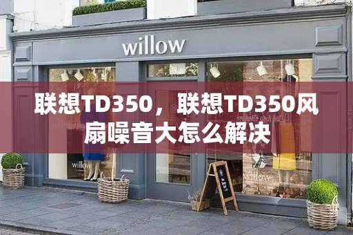 联想TD350，联想TD350风扇噪音大怎么解决-第1张图片-星选测评