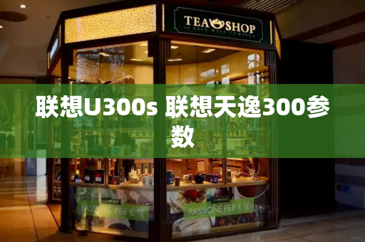 联想U300s 联想天逸300参数-第1张图片-星选测评