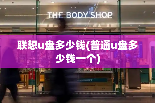 联想u盘多少钱(普通u盘多少钱一个)-第1张图片-星选测评