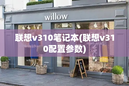 联想v310笔记本(联想v310配置参数)-第1张图片-星选测评