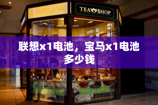 联想x1电池，宝马x1电池多少钱-第1张图片-星选测评