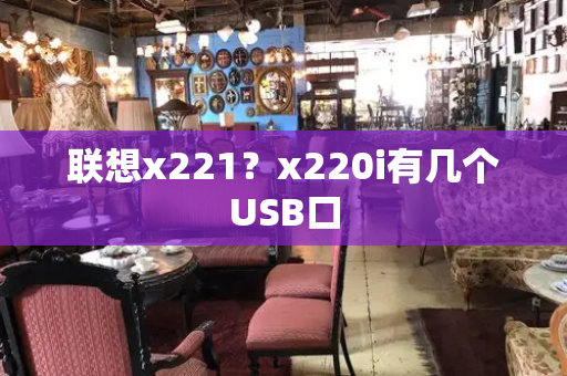 联想x221？x220i有几个USB口