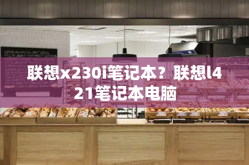 联想x230i笔记本？联想l421笔记本电脑-第1张图片-星选测评
