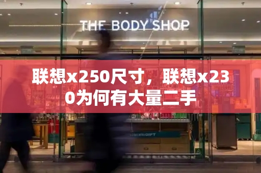 联想x250尺寸，联想x230为何有大量二手-第1张图片-星选测评