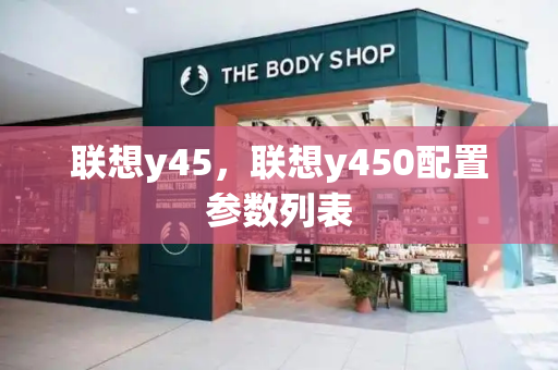 联想y45，联想y450配置参数列表-第1张图片-星选测评