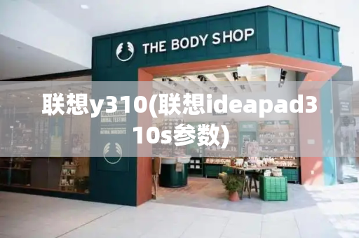 联想y310(联想ideapad310s参数)