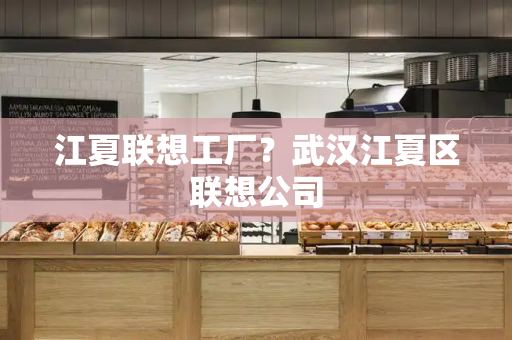 江夏联想工厂？武汉江夏区联想公司