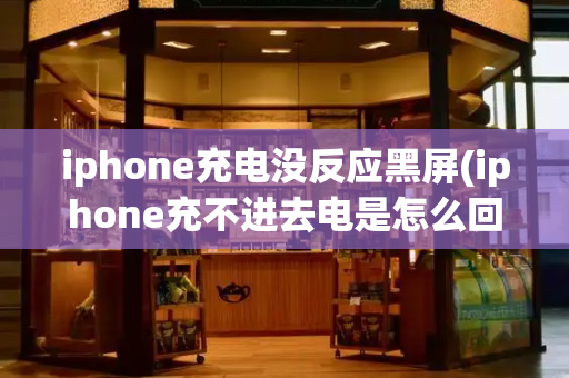 iphone充电没反应黑屏(iphone充不进去电是怎么回事)-第1张图片-星选测评