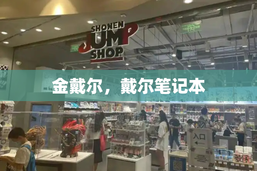 金戴尔，戴尔笔记本