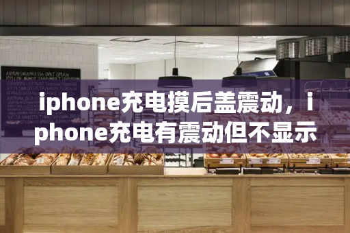 iphone充电摸后盖震动，iphone充电有震动但不显示-第1张图片-星选测评