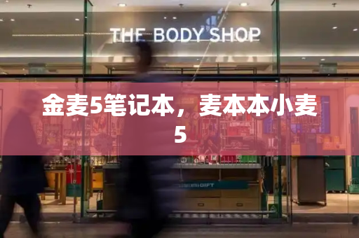 金麦5笔记本，麦本本小麦5-第1张图片-星选测评