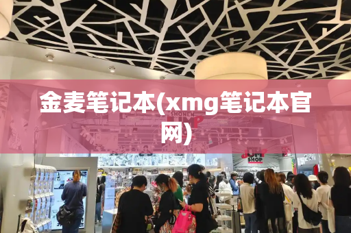 金麦笔记本(xmg笔记本官网)