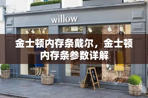 金士顿内存条戴尔，金士顿内存条参数详解-第1张图片-星选测评