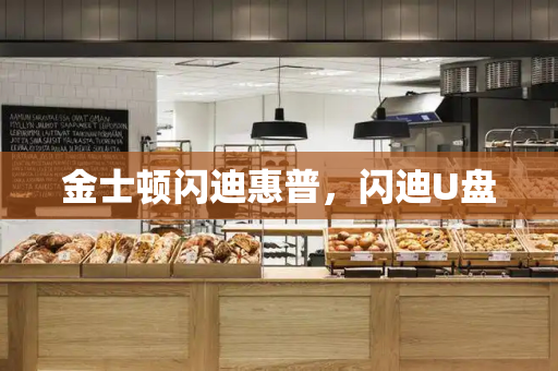 金士顿闪迪惠普，闪迪U盘