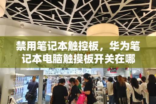 禁用笔记本触控板，华为笔记本电脑触摸板开关在哪
