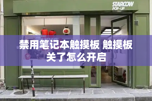 禁用笔记本触摸板 触摸板关了怎么开启-第1张图片-星选测评
