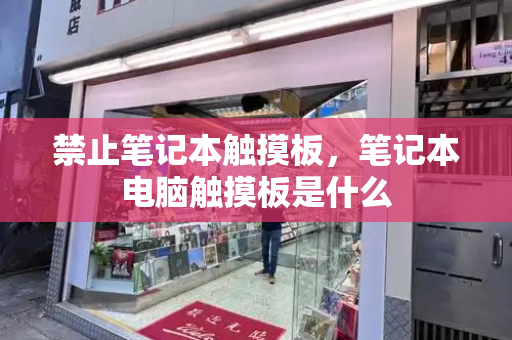禁止笔记本触摸板，笔记本电脑触摸板是什么-第1张图片-星选测评