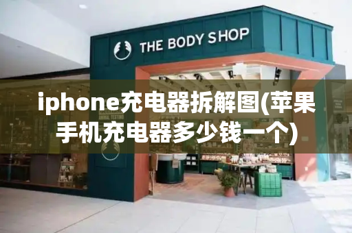 iphone充电器拆解图(苹果手机充电器多少钱一个)-第1张图片-星选测评