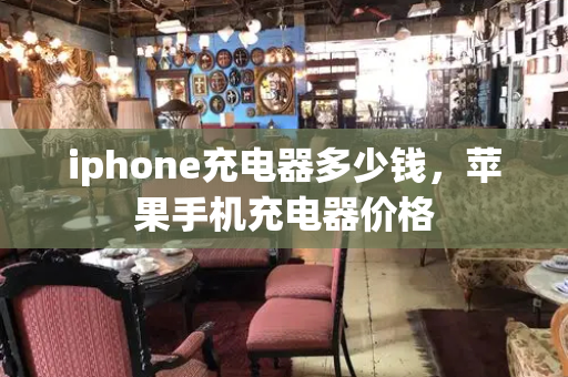 iphone充电器多少钱，苹果手机充电器价格-第1张图片-星选测评