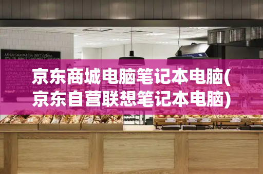 京东商城电脑笔记本电脑(京东自营联想笔记本电脑)