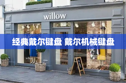 经典戴尔键盘 戴尔机械键盘-第1张图片-星选测评