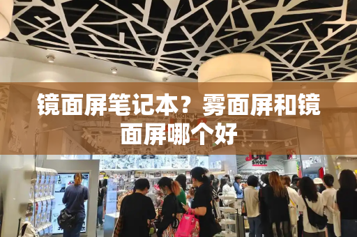 镜面屏笔记本？雾面屏和镜面屏哪个好