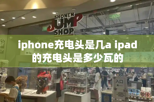 iphone充电头是几a ipad的充电头是多少瓦的-第1张图片-星选测评