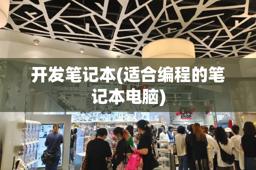 开发笔记本(适合编程的笔记本电脑)