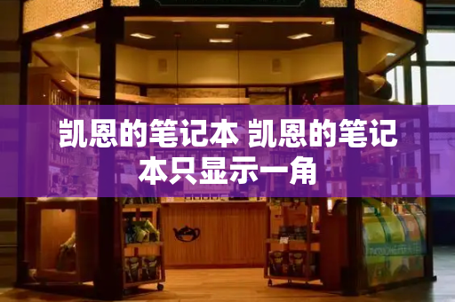 凯恩的笔记本 凯恩的笔记本只显示一角-第1张图片-星选测评
