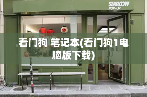 看门狗 笔记本(看门狗1电脑版下载)