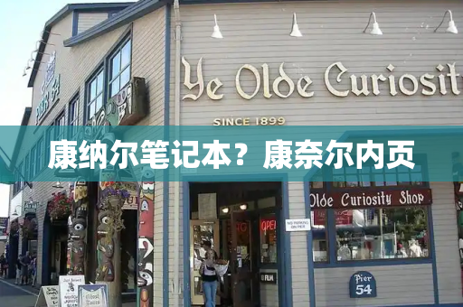 康纳尔笔记本？康奈尔内页