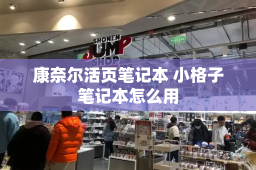 康奈尔活页笔记本 小格子笔记本怎么用