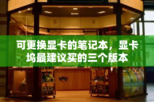 可更换显卡的笔记本，显卡坞最建议买的三个版本