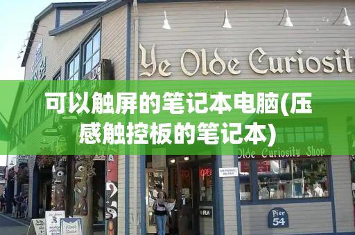 可以触屏的笔记本电脑(压感触控板的笔记本)