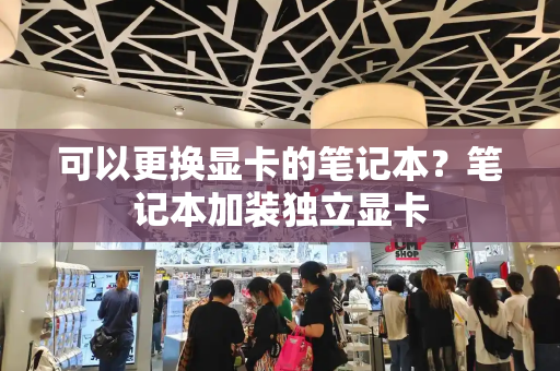 可以更换显卡的笔记本？笔记本加装独立显卡-第1张图片-星选测评