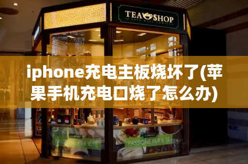 iphone充电主板烧坏了(苹果手机充电口烧了怎么办)