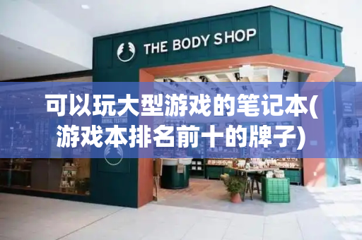 可以玩大型游戏的笔记本(游戏本排名前十的牌子)