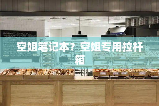 空姐笔记本？空姐专用拉杆箱