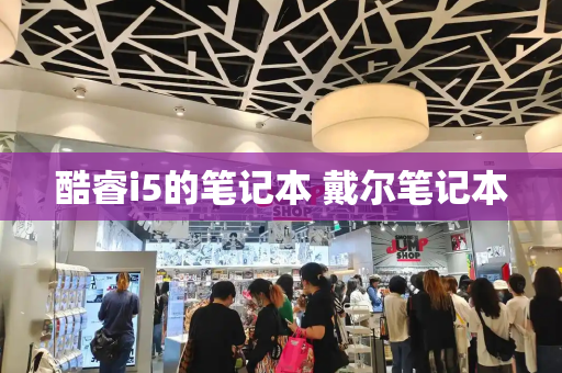 酷睿i5的笔记本 戴尔笔记本-第1张图片-星选测评