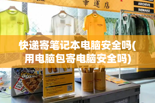 快递寄笔记本电脑安全吗(用电脑包寄电脑安全吗)-第1张图片-星选测评
